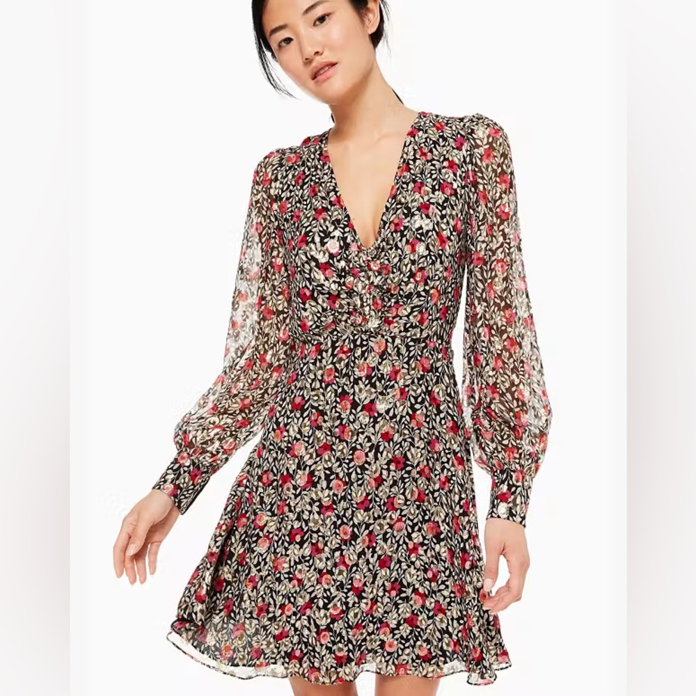 Kate Spade Floral Park Clip Dot Dress, size 4